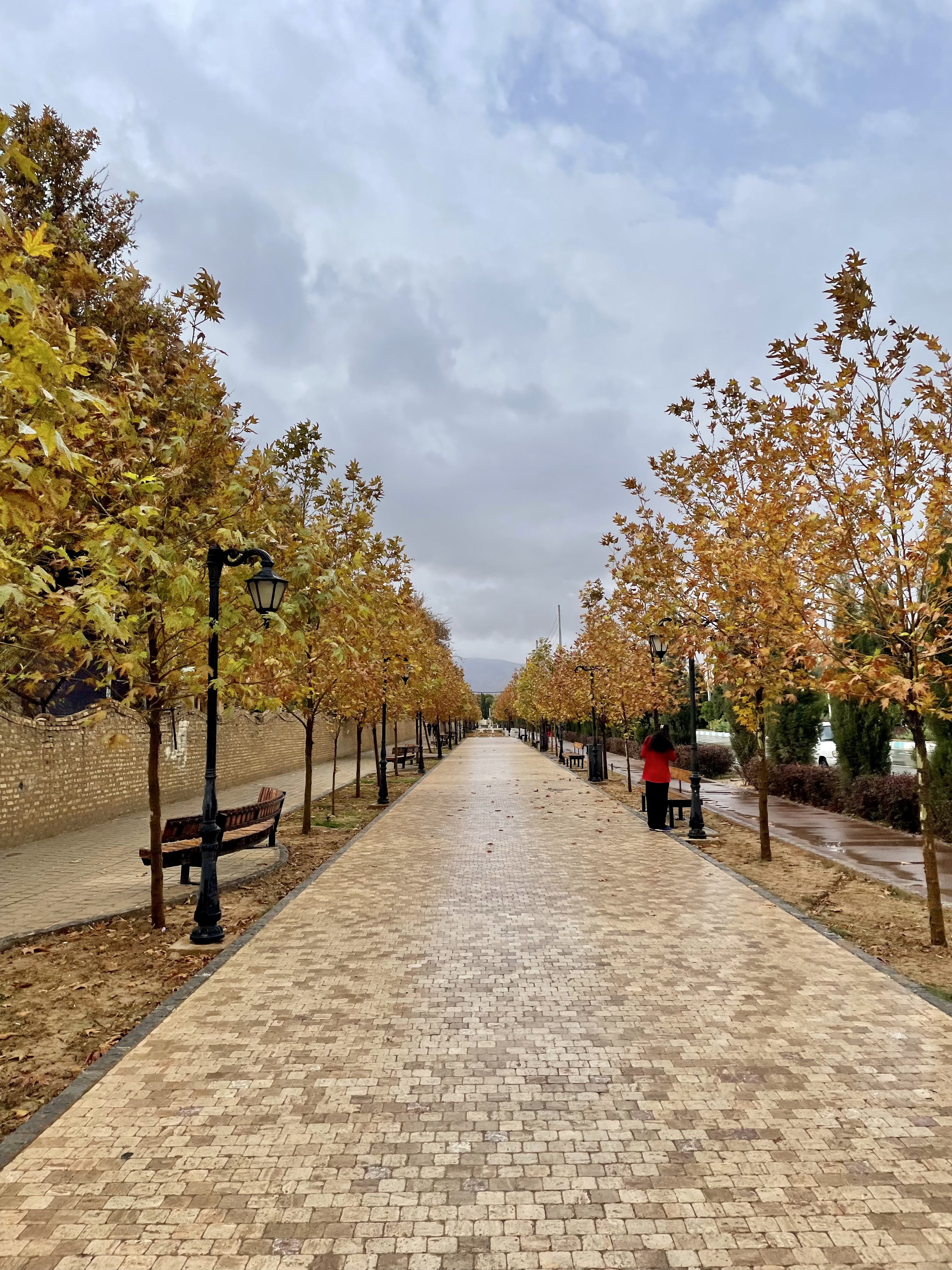 fallshiraz