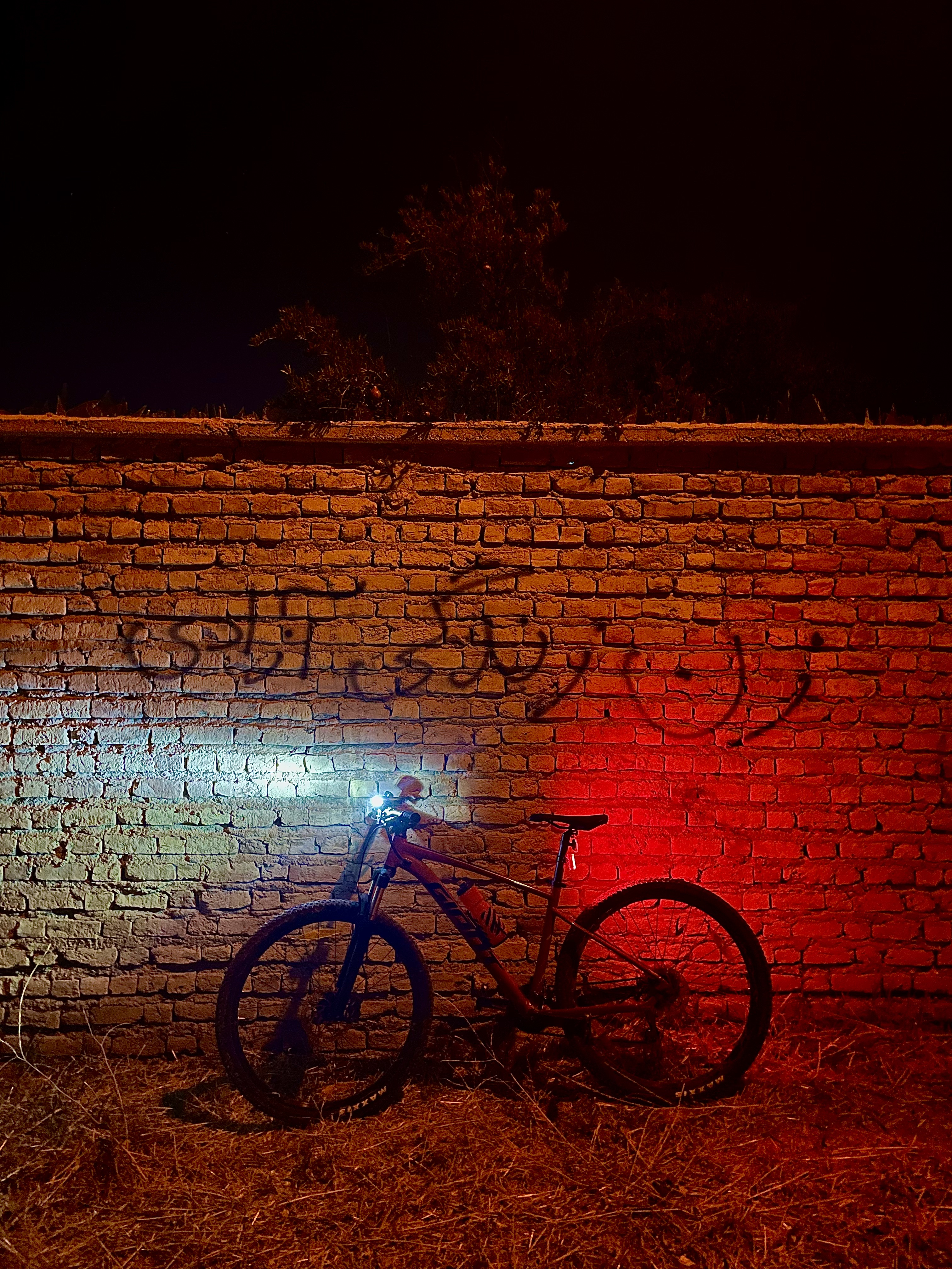 freedom