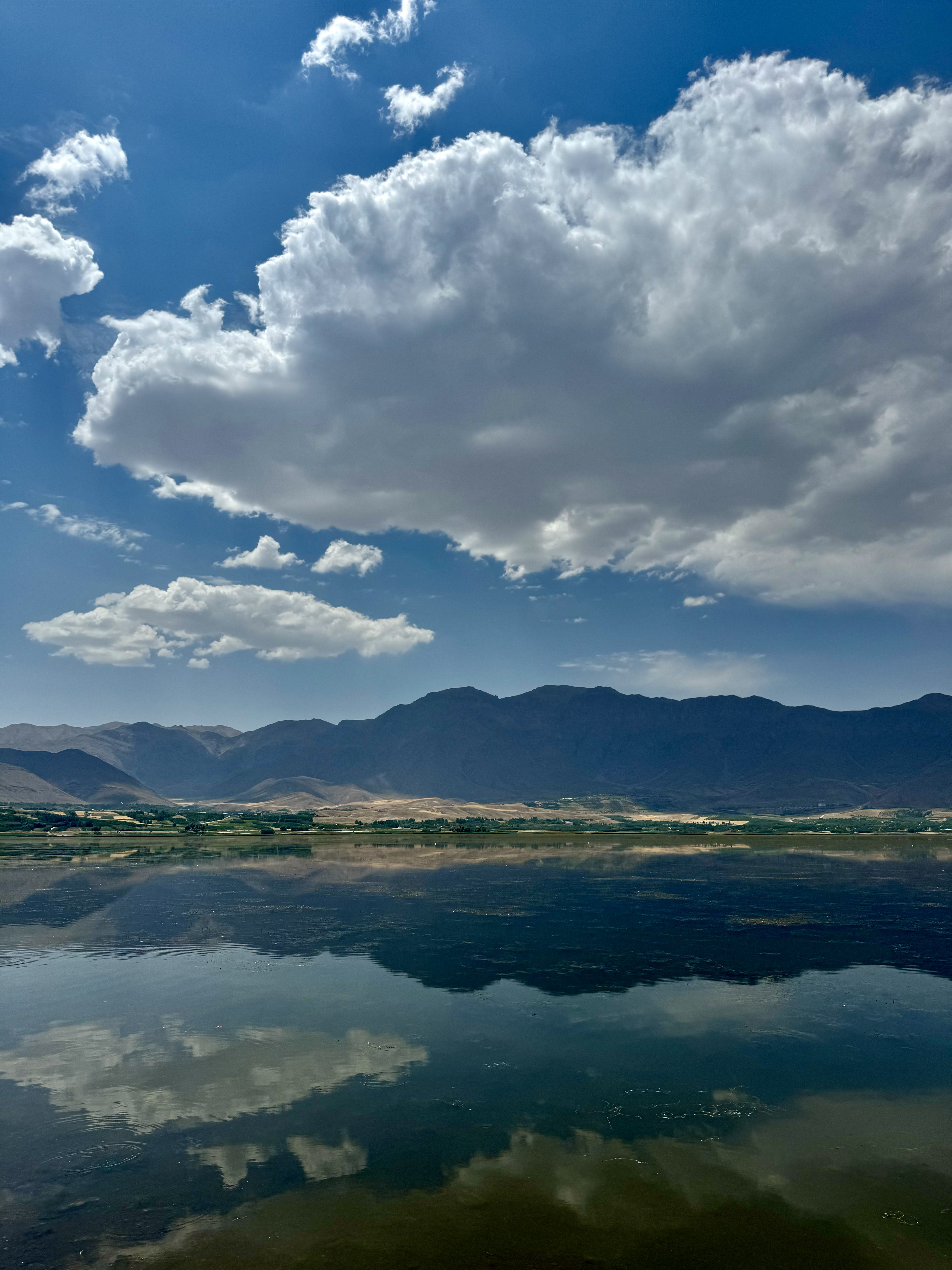 landscape preview