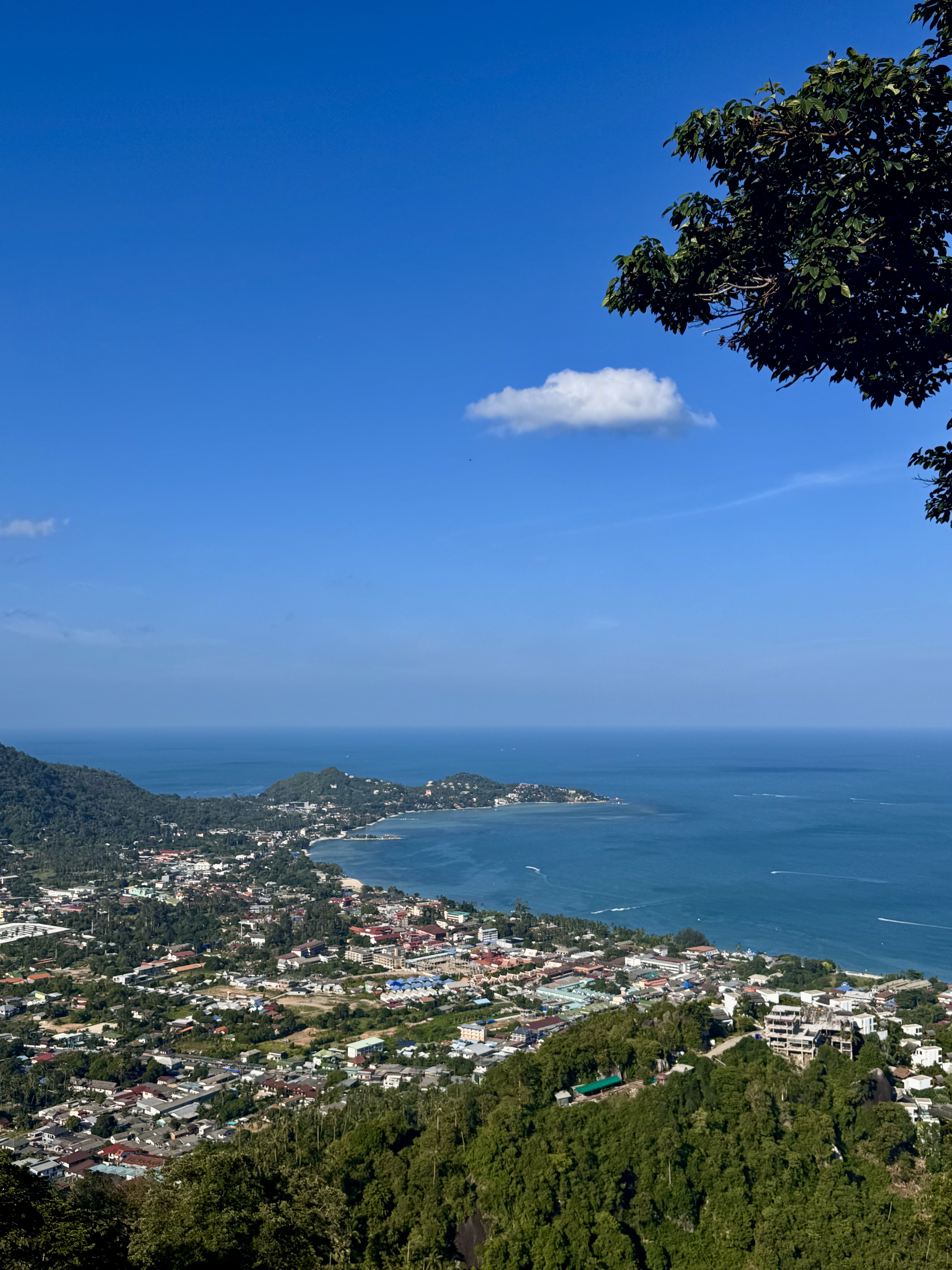 view