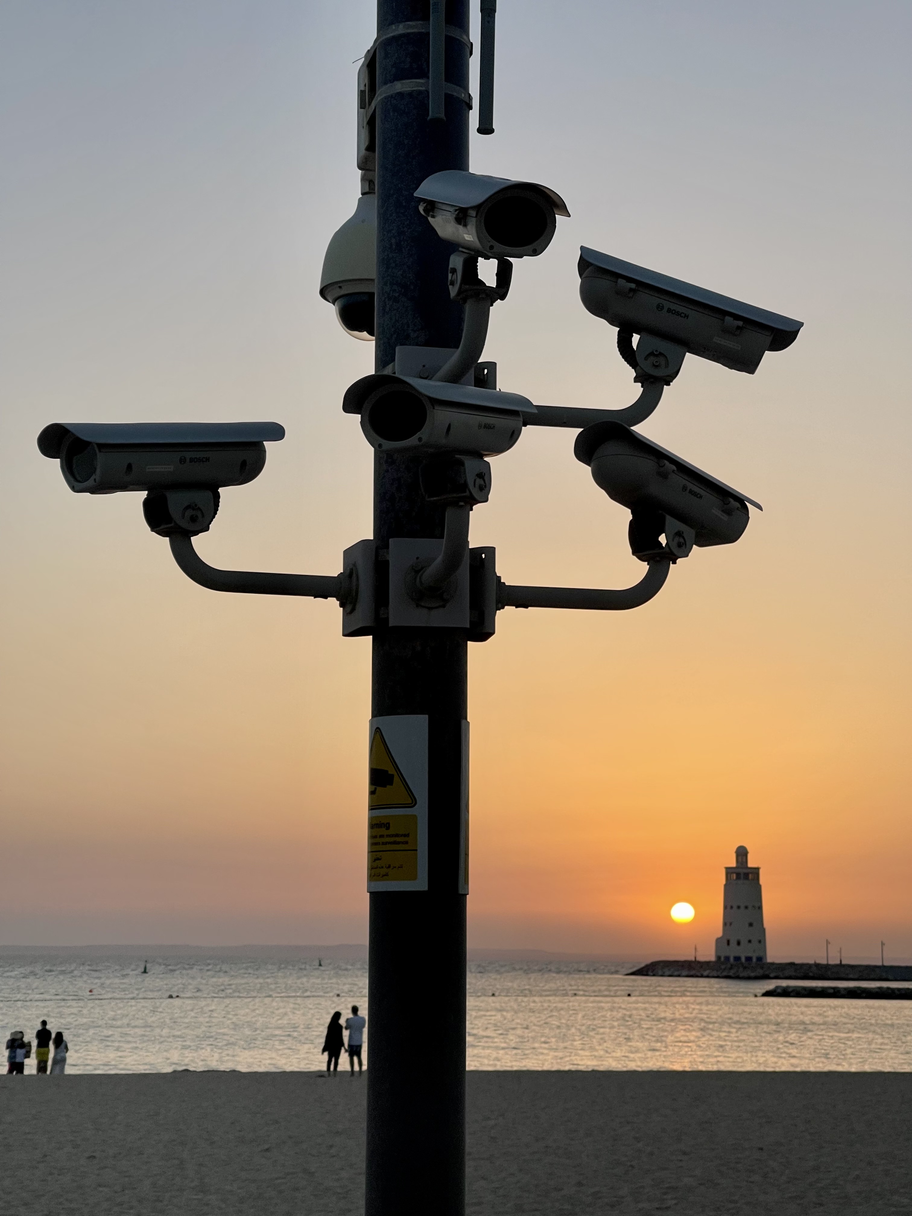 surveil