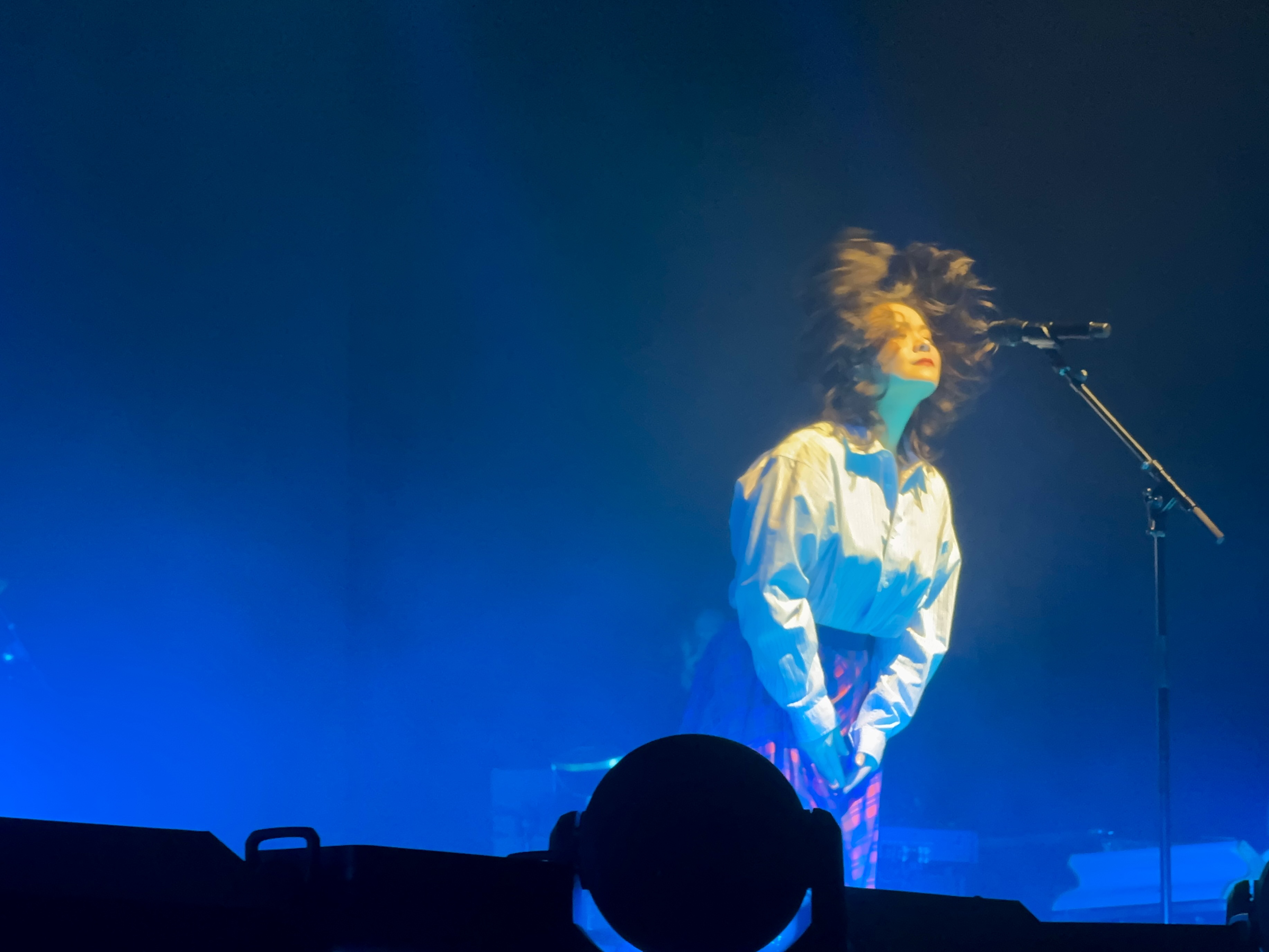 hair-swing