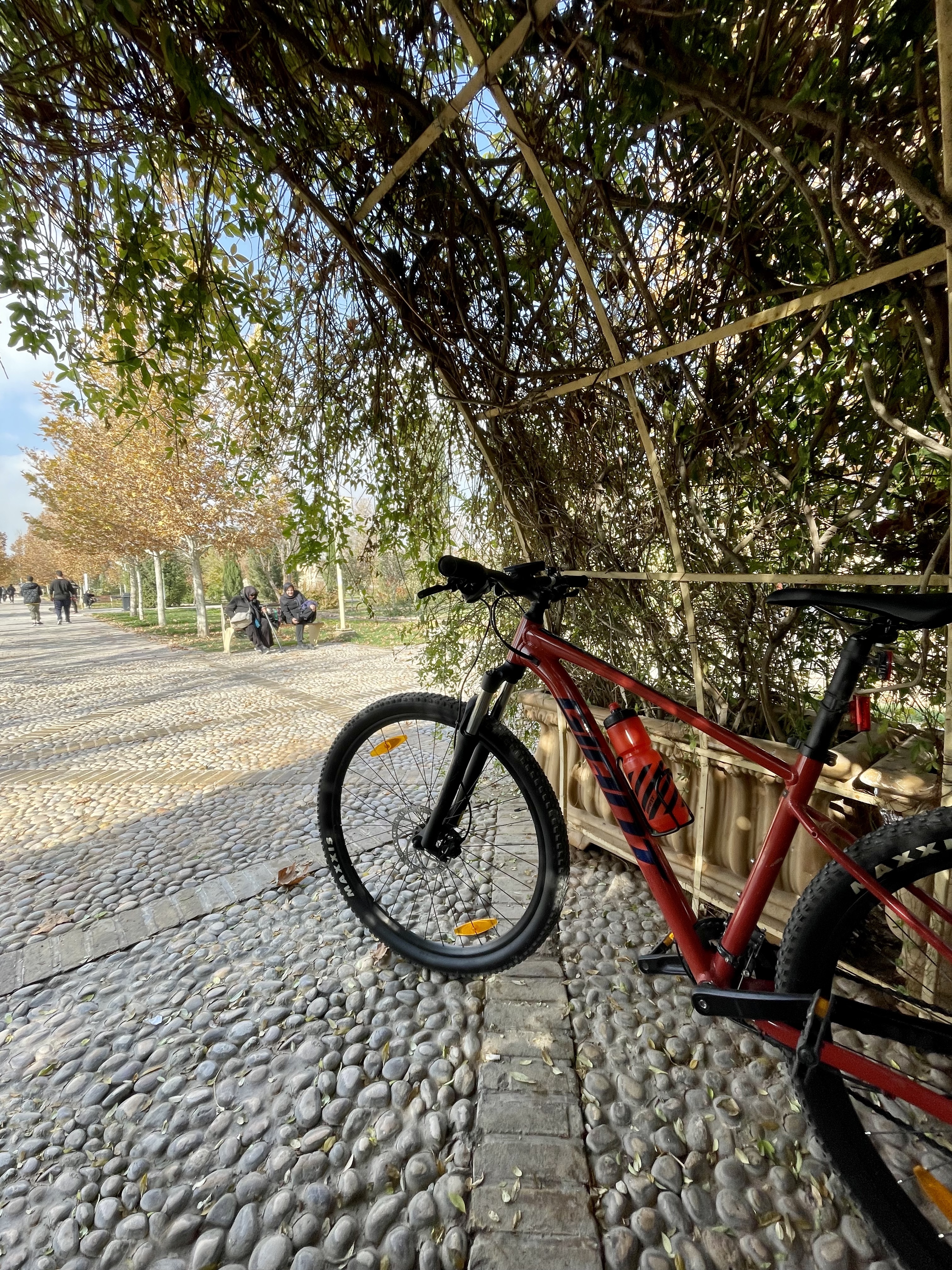 cycle2