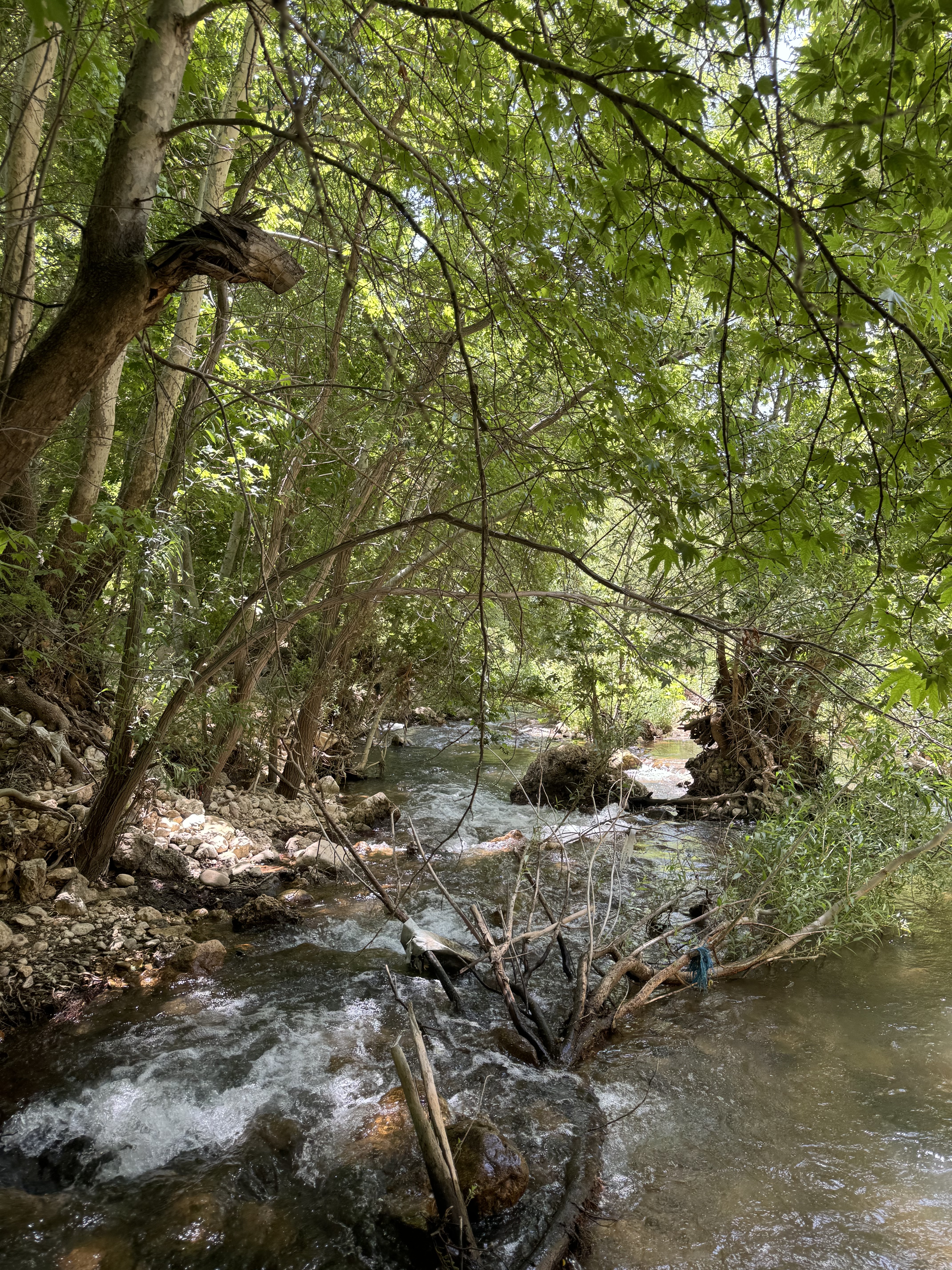 river