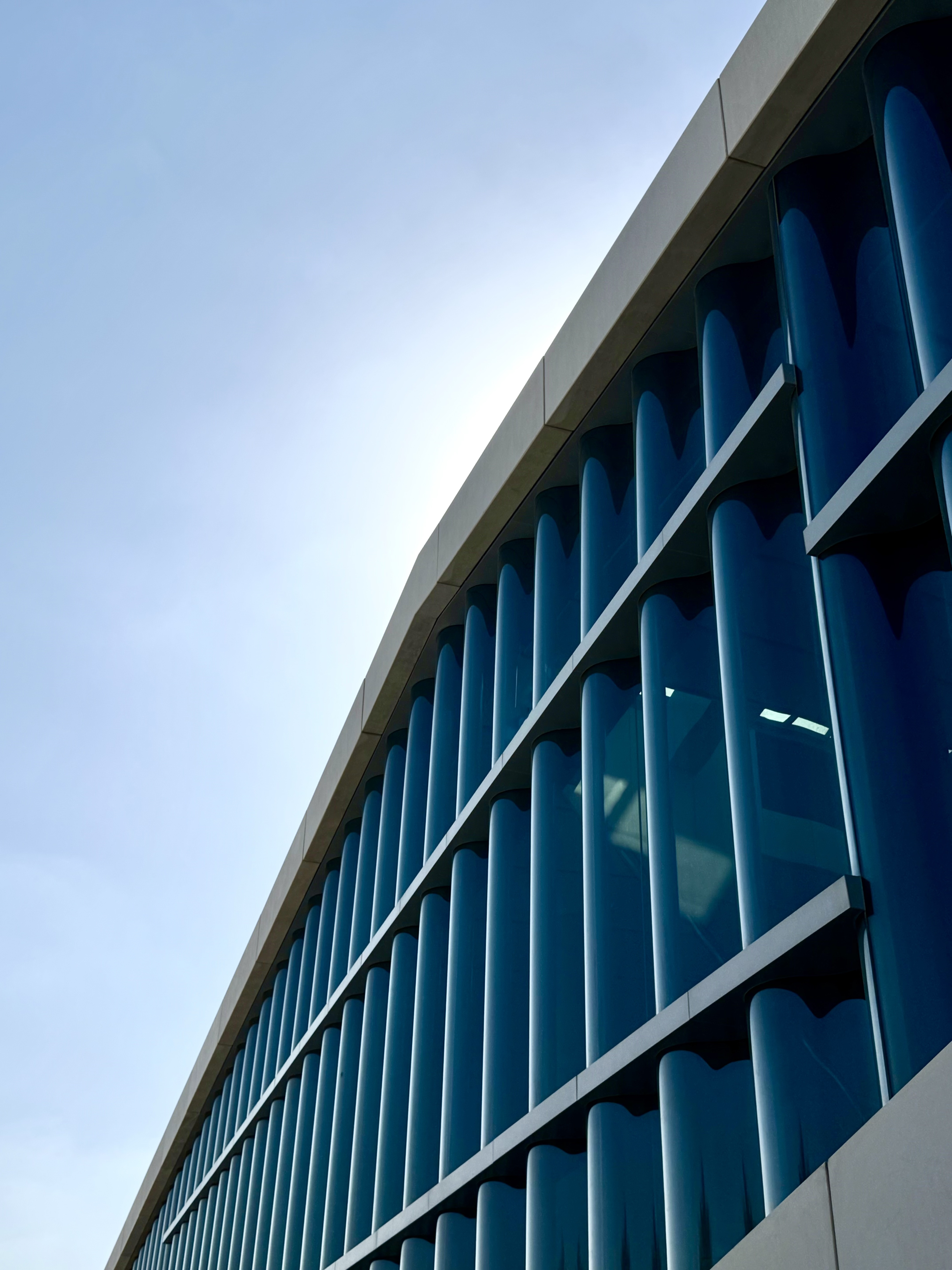 qnl1