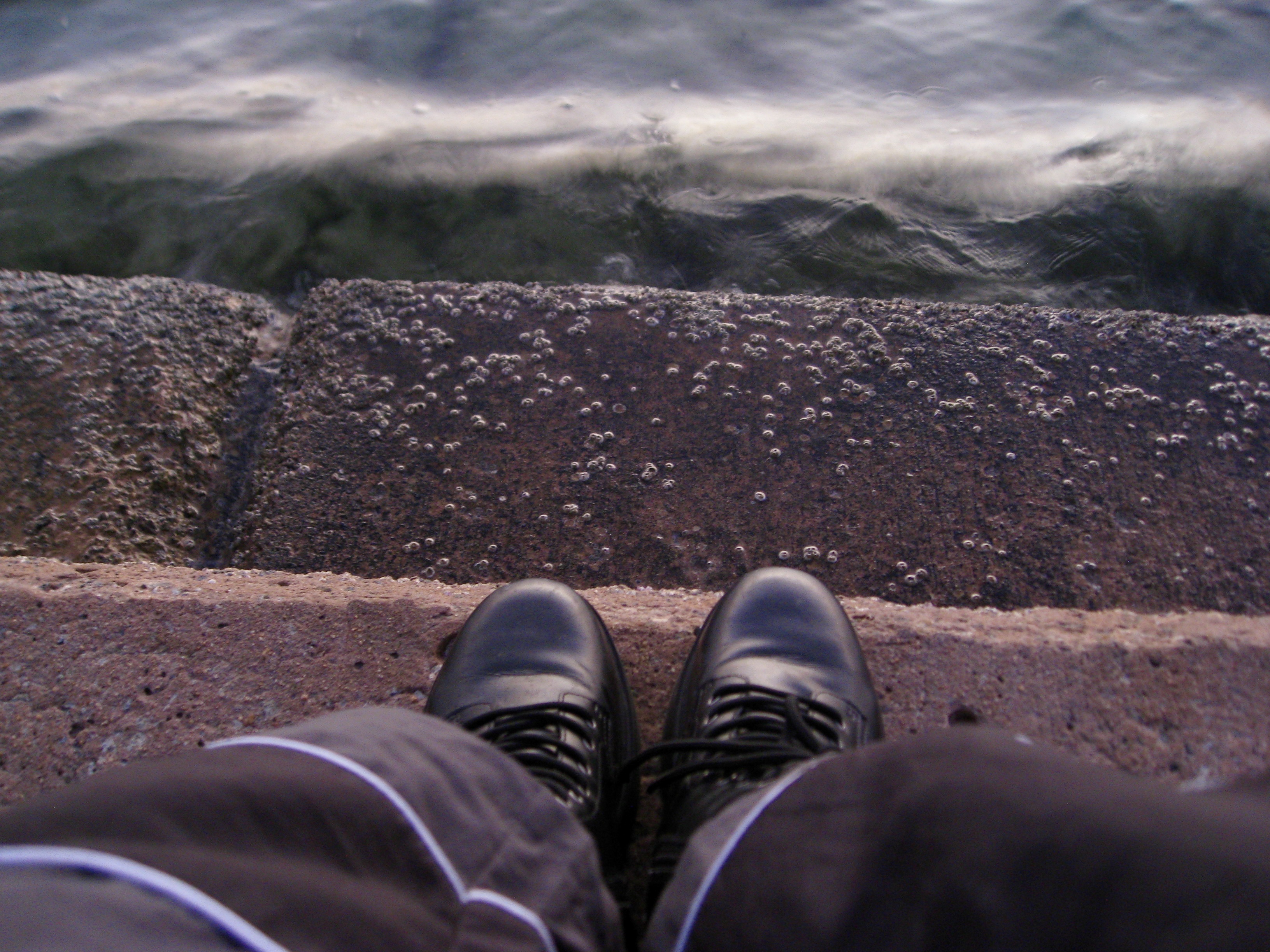 feet
