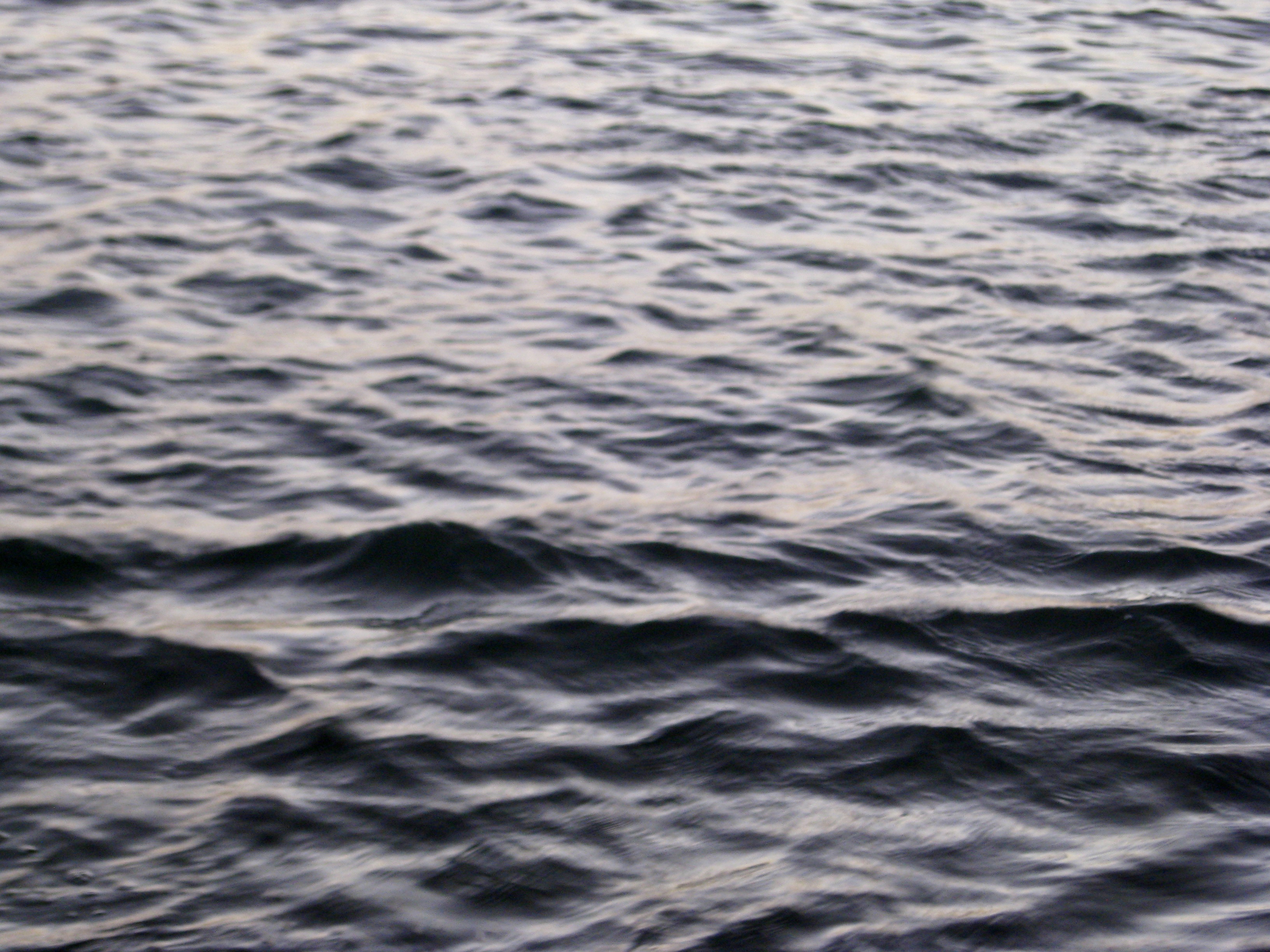 fluid